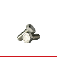HEX-SCREWS-STAINLESS HEX CAP SCREWS